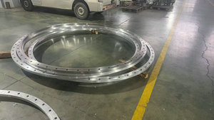 ���m���X���m